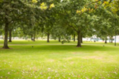 Parkta ağaçlar büyüyor.