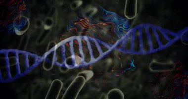 Animasyon sarmalı dalgalanan çubuklar sürükleniyor ve şekilleniyor görselleştiren veri akışı. Biyomoleküler, fütüristik, veri görselleştirme, dijital sanat, soyut, bilimsel, sürükleyici