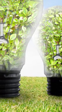 Mavi gökyüzü ve çimenlerin üzerinde bitkilerle dolu ampullerin animasyonu. küresel koruma ve yeşil farkındalık kavramı dijital olarak oluşturulmuş video.