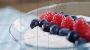 Kameranın çekilmesi yoğurt kasesi verilerinin örtüşmesine, çubukların yükselmesine ve meyve istatistiklerini göstermesine neden oluyor. Meyve, süt ürünleri, beslenme, analitik, taze, canlı, sağlıklı