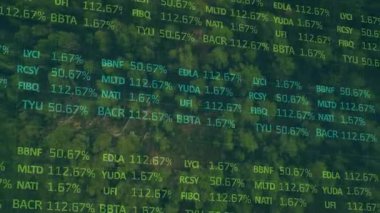 Orman tepe örtüsü üzerinde görünen şebeke örtüsü, yüzen kodlar ve görselleştirmek için güncellenen yüzdeler. Gelecek, teknoloji, analitik, doğa, dijital, çevre, soyut