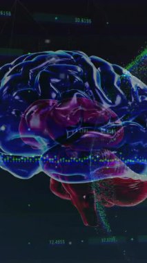 Dünya üzerinde insan beyninin ve dijital veri işlemenin animasyonu. Küresel bilim, yapay zeka, birleşme, hesaplama ve veri işleme kavramı dijital olarak oluşturulmuş video.