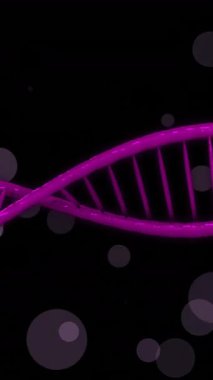 Karanlık arka planda parlayan noktaların üzerinde dönen DNA iplikçiklerinin animasyonu. Küresel bilim, bağlantılar, hesaplama ve veri işleme kavramı dijital olarak oluşturulmuş video.