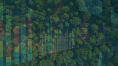 Orman tepe örtüsünde kayan çok renkli örtüler açılıyor. Veri görselleştirmesi için hava görüntüsü ortaya çıkıyor. Analizler, çevre, teknoloji, ekolojik, görselleştirme, hava, veri