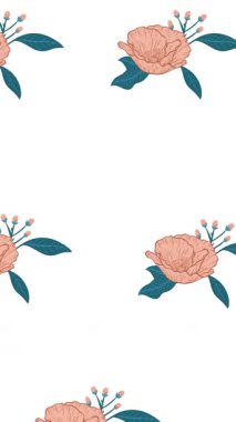 Beyaz arka planda hareket eden pembe çiçek dizilerinin bileşimi. kutlama ve şablon kavramı dijital olarak oluşturulmuş video.