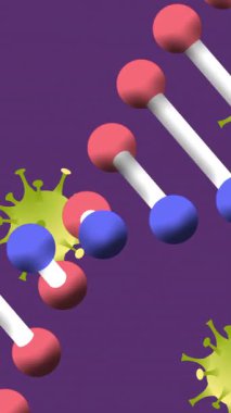 Mor arka plandaki virüs hücrelerinin üzerindeki DNA iplikçiklerinin animasyonu. Okula, eğitime ve dijital arayüz konseptine dijital olarak oluşturulmuş video.