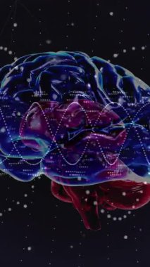 Dijital veri işleme animasyonu, DNA ipliği üzerinde insan beyni. Küresel bilim, bağlantılar, hesaplama ve veri işleme kavramı dijital olarak oluşturulmuş video.