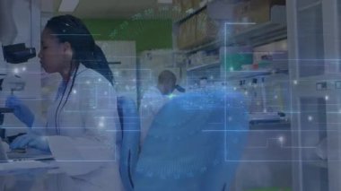 Slaytı inceleyen kadın bilim adamı, laboratuvar sıralarında örnek analizini birleştiren ağ örtüsünü başlatıyor. Araştırma, yenilik, dijital, işbirliği, teknoloji, kesinlik, görselleştirme