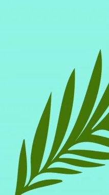 Mavi arkaplanda kopya alanı olan yeşil yaprakların animasyonu. Doğa, tropikal bitki, yaz ve tatil konsepti dijital olarak üretilen video.