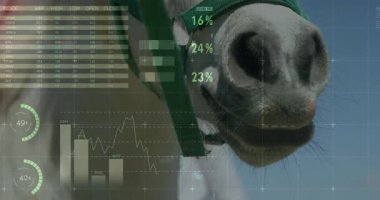 Piyasa eğilimlerini görselleştirmek için yük beygirinde yeşil halterle finans grafikleri sergiliyor. Atlar, analitikler, veri görselleştirme, gösterge paneli, teknoloji, ilerleme, içgörü