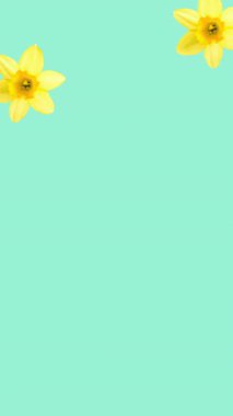 Mavi arka planda sarı çiçeklerin canlandırması. örüntü, bahar, yaz, doğa ve renk konsepti dijital olarak oluşturulmuş video.