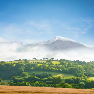 Flat design showing golden brown field, green hills with mist, snowy peak under clear blue sky. Scenic, landscape, nature, tranquility, outdoor, minimalist, atmospheric