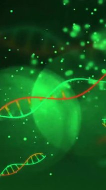 DNA iplikçikleri üzerinde bilimsel veri işleme animasyonu. Küresel bilim, bağlantılar, hesaplama ve veri işleme kavramı dijital olarak oluşturulmuş video.