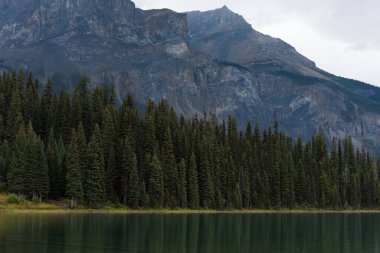 Güzel dağ, göl ve ağaçlar kırsalda