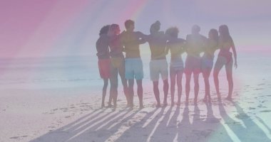 Kumlu sahilde kollarını birleştiren, okyanusa bakan, mayo giyen sekiz arkadaş grubu. Sahil şeridi, yoldaşlık, tatil, rahatlama, coşku, eğlence, kıyı şeridi.