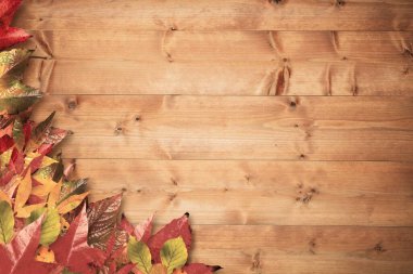 Sonbahar yapraklarından oluşan küme düz dizayn ahşap zemin üzerinde duruyor, tahıllı, kopyalama alanlı. Doğa, mevsimsel, rustik, canlı, hasat, doku, kompozisyon