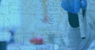 Bilim adamları tüpü temiz tahta üzerine yerleştiriyor. Pipeti alıyor ve bilim için numuneye reaktör ekliyor. Araştırma, laboratuvar, deney, kesinlik, yenilik, araştırma, analitik