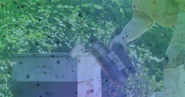 Tarım arıcısı sigara içen arıları sakinleştiriyor ve arılar ağ grafikleriyle büyüyor. Apiary, apikulture, böcek kontrol, kırsal arazi, doğa, çevre, sürdürülebilirlik