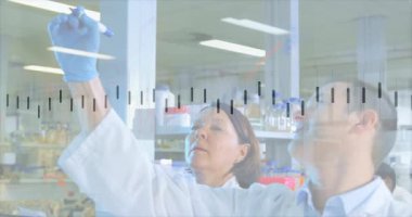 Bilim adamları cam panele işaret koyuyorlar, dalga formu çiziyorlar laboratuvar araştırmaları için sayısal etiketler ekliyorlar. Araştırma, yenilik, analiz, laboratuvar, bilimsel, veri, takım çalışması