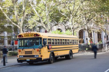 Sarı okul otobüsü, yapraklı ağaçların altındaki cadde boyunca düz dizayn edilmiş, demir parmaklıklar sergileniyor. Kentsel, ulaşım, mimari, yeşillik, topluluk, modern, yayalar