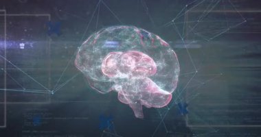 Şeffaf üç boyutlu beyin göründüğünde nabız düzeneği ve çubuk haritalama şebekesi bozulur. Gelecekçi, nöral, dijital, yenilik, teknoloji, bağlantı, bilim