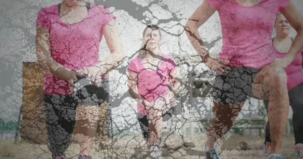 Çakıl çanı ve köpekle, çakıllı terasta siyah popolu, pembe bluz giyen dört kadının üzerine atlıyor. Fitness, açık hava, takım çalışması, sağlık, aktif giyim, motivasyon, spor