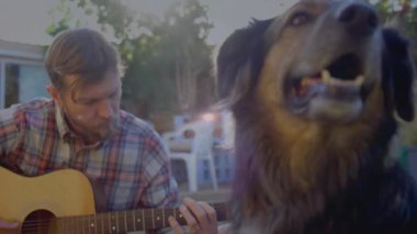 Gitarist arka bahçede müzik yapmak için köpekle melodi tıngırdatırken güneş duşu çalıyor. Müzisyen, açık hava, köy, eğlence, arkadaşlık, dinginlik, doğal