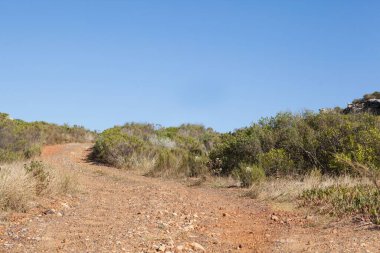 Dolambaçlı toprak yolu düz dizayn edilmiş ovalık yamaçlara, dağınık kayalar ve çalılarla tırmanıyor. Kırsal, macera, doğa, keşif, açık hava, manzara, engebeli