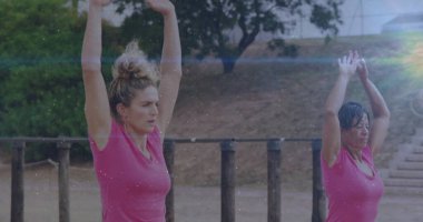 Pembe bluzlar giyen esneme eşleri açık hava spor salonunda kollarını kaldırıyor, paralel barları var. Spor, açık hava egzersizi, sağlık, aktif yaşam tarzı, dayanıklılık eğitimi, takım çalışması, motivasyon