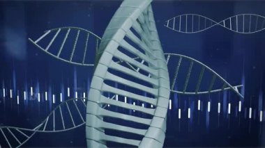 Veri girdisinde, merkezi DNA sarmalı, genetik kalıpları gösteren dalgalanma sırasında dönüyor. Moleküler, geleceksel, görselleştirme, analitik, teknoloji, dijital, bilimsel