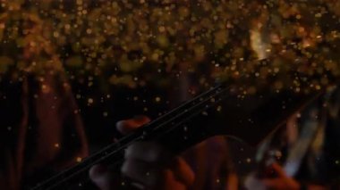 Bas gitarist telleri koparıyor altın bokeh, gitar çalan şarkıcı ve müzik ortamı yaratıyor. Müzik, performans, canlı, göstericiler, sahne, ses, melodi