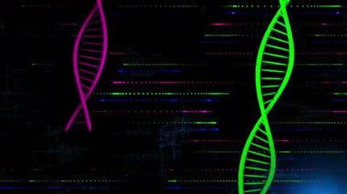 Mavi parıltı solu süpürüyor, mor yeşil sarmallar hareket ediyor matematik diyagramlarını arıza çizgilerinde ortaya çıkarıyor. Moleküler, geleceksel, dijital, bilimsel, geometrik, yenilikçi, yüksek teknoloji
