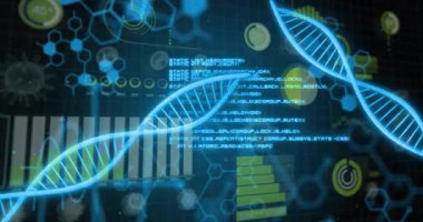 Mavi DNA sarmalları silip süpürüyor, kodları kaydırıyor, çizelgeler ortaya çıkıyor, genetik analizleri çerçevelemek için dönüyor. Biyoteknoloji, yenilik, veri görselleştirme, bilimsel, geleceksel, dijital, genomik