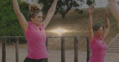 Paralel barları olan açık hava spor salonunda pembe tişörtlü ve siyah tozlu kadınlar. Spor, açık hava, atletizm, sağlık, işbirliği, aktivite kıyafeti, doğa.