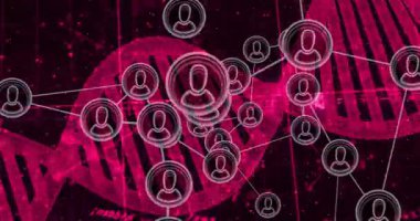 Dönen DNA sarmalları, kullanıcı bağlantılarını görüntülemek için ortaya çıkan ve bağlantı kuran 3 boyutlu ağ düğümlerini tetikler. Dijital, bağlantı, fütüristik, görselleştirme, soyut, teknoloji, veri