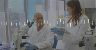 Erkek bilim adamı mikroskop kullanıyor, kadın araştırmacı tablet kaydırıyor, verileri araştırıyor ve netleştiriyor. Araştırma, işbirliği, yenilik, laboratuvar, bilim, teknoloji, kesinlik