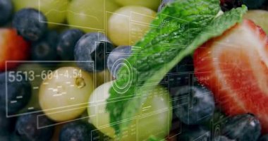 Meyve kasesi aktif hale gelen HUD panellerin böğürtlenlerin üzerinde kaybolduğunu gösteriyor, rakamsal kodları güncelliyor, çizelgeleri düzenliyor. Tazelik, canlılık, dijital, veri, teknoloji, beslenme, sağlık