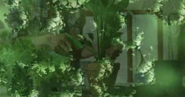 Reaching for nozzle bottle gardener spraying foliage for plant care with drifting microbes in room. Botanical, sustainability, eco-friendly, serene, natural, health, horticulture