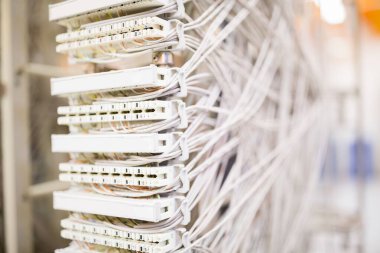 Ağ yama paneli, sıcak ışık altında ethernet kablolarıyla 3D olarak görüntüleniyor. Ağ, altyapı, teknoloji, veri, bağlantı, sunucu, sistem