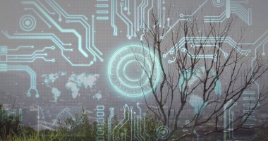 Çimenli yamaçta dikilen yapraksız ağaç kentsel vadiyi görüyor, HUD örtüleri var, kopyalama alanı var. Doğa, teknoloji, dijital, kentsel, manzara, fütüristik, devre