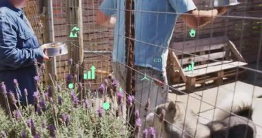 Evcil hayvan bakımı çifti, lavanta çitleriyle besleniyor ve köpek besliyor. Animasyon ikonlarıyla yemek kasesini genişletiyor. Evcil hayvan, arkadaşlık, açık hava, kırsal, sevgi dolu, rahatlama, doğa.