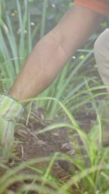 Bahçede çalışan adamın üzerindeki mavi ışıkların videosu. topluluk bahçesi haftası dijital olarak oluşturulmuş video.