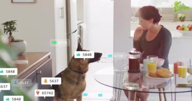 Cam masada hamur işi yiyen orta yaşlı bir kadın. Köpeğin etrafında yüzen sosyal medya ikonları üretiyor. Yurt içi, yaşam tarzı, modern, samimi, samimi, sosyal, etkileşim