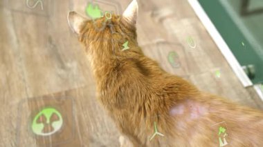 Kızıl kedide solup giden şeffaf simgeler yeşil çerçeve kabin simgelerine doğru yürüyor. Çevre, sürdürülebilirlik, korunma, çevre, doğal, farkındalık, uyum