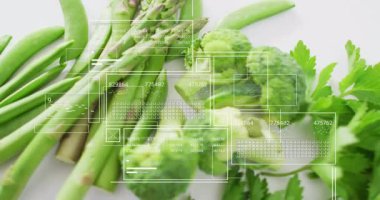 Kuşkonmazla örtüşen, brokoli ve maydanozu tarayan ve analiz için verileri güncelleyen kaplamalar. Teknoloji, tazelik, veri, analiz, dijital, sağlık, aşçılık