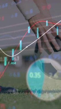 Finansal veri işleme animasyonu eşleşen çimenlerin üzerinde futbol topu. Finans, spor, analiz, istatistik, ekonomi, yatırım