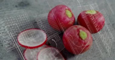 Görünürde örtüşen, değişen ölçümler, tarama turpları, sonra da temiz görüş için geri çekiliyor. Dijital kesinlik, gıda analizleri, görüntüleme teknolojisi, sağlıklı üretim, modern tasarım, veri görselleştirme, tarım robotları