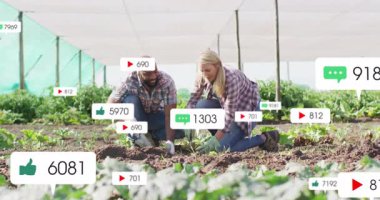 İş arkadaşları diz çöküp sera kazıyor tohum ekiyor sosyal ikonların yükselmesine ve sonra da yok olmasına neden oluyor. Bahçıvanlık, tarım, tarım, ekip çalışması, çevre dostu, yemyeşil, sanayi