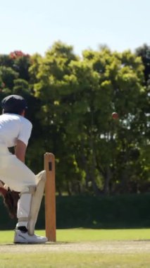 Sahada kriket oynamak, oyuncular üzerinde sosyal medya etkileşimi. Spor, takım çalışması, teknoloji, bağlılık, iletişim