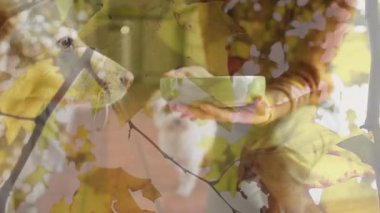 Kadın bardağa diz çöküp çanak tutarken köpek koklaması sonbahar yansıması ile köpek yemesini tetikliyor. Evcil hayvanlar, arkadaşlık, rahat, kırsal, yaşam tarzı, sıcaklık, mevsimlik